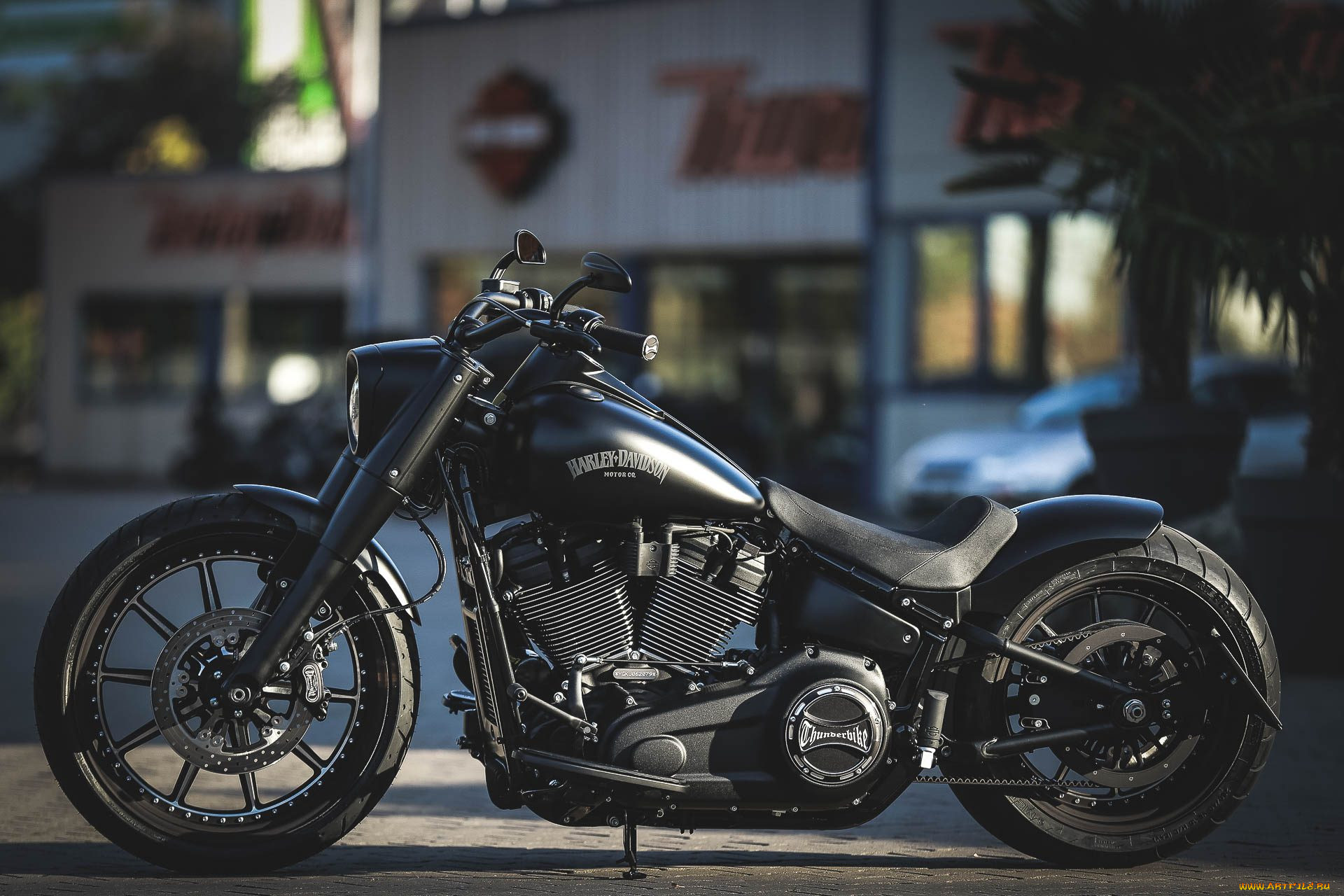 harley, , harley-davidson, , , 
